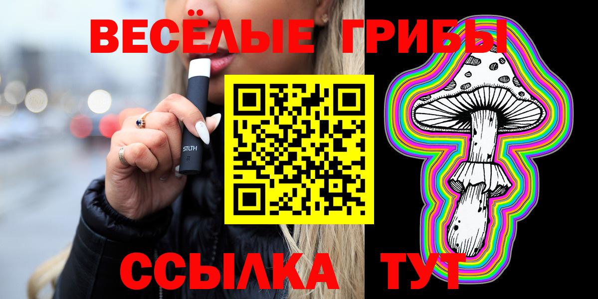 Галлюциногенные грибы Psilocybe Барабинск